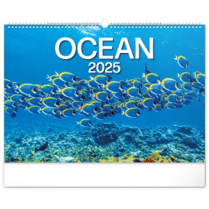 Falinaptr Ocean 2025, 48  33 cm (naptr)